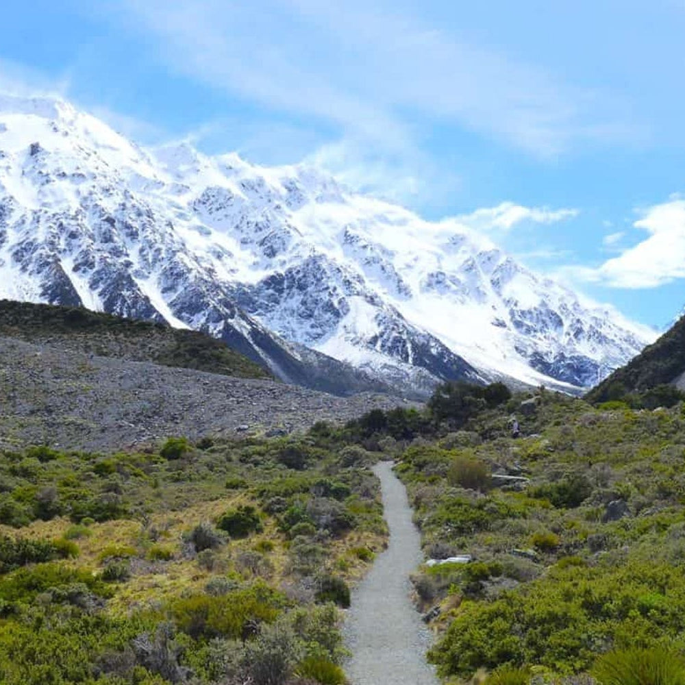 The long and winding road