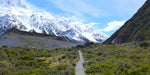 The long and winding road